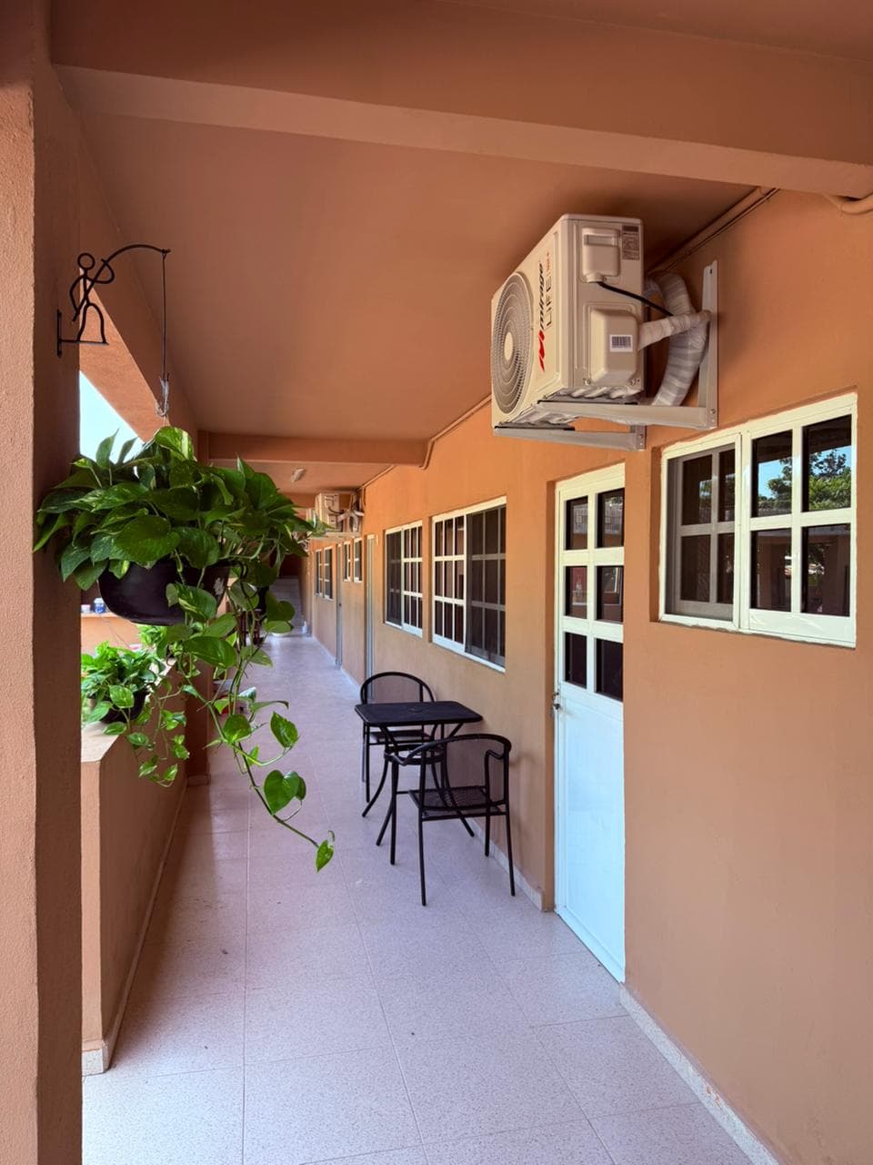Pasillo de habitaciones decorado con plantas